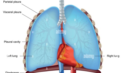 淋巴癌痒的症状网 :分享淋巴癌痒的症状是什么-淋巴癌身上痒是什么症状知识
